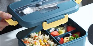 Plastic Lunch Box1