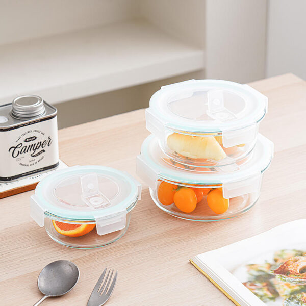 Partitioned borosilicate glass lunch box