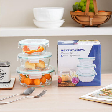 Partitioned borosilicate glass lunch box