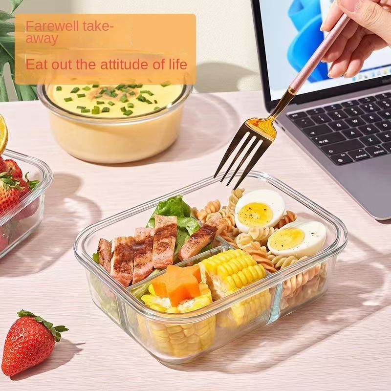 borosilicate glass lunch box