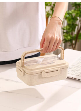 Eco-friendly plastic bento lunch box